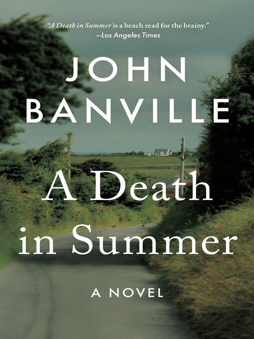 Title details for A Death in Summer by John Banville - Available